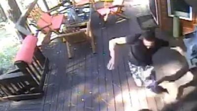 دع الكلب ينام.. مالك يصارع ذئبا حاول افتراس حيوانه الأليف | فيديو