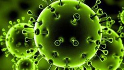 أخصائى تغذية: الزنك يوقف انتشار فيروس كورونا داخل الجسم