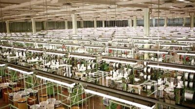 برلماني: قرار خفض سعر الغاز الطبيعي أنقذ قطاع الصناعة