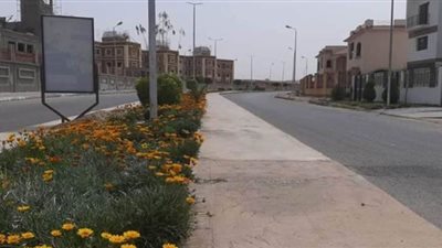 شوارع الشروق خالية من المارة بسبب فيروس كورونا | صور