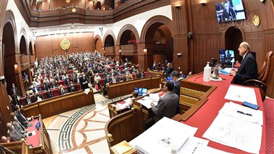 رئيس الشيوخ يفتتح الجلسة العامة لمناقشة دراسة عن سوق العمل غير الرسمي