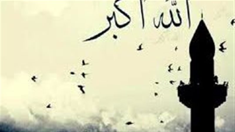 أرشيفية