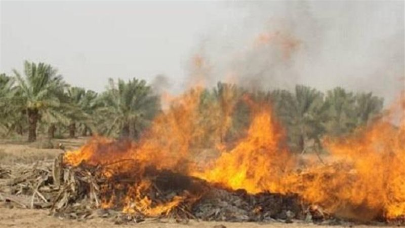 حرق المخلفات فى الريف