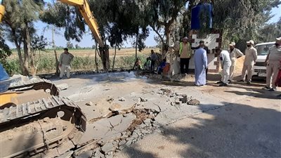 تنفيذ 55 قرار إزالة تعديات على الأراضي الزراعية بالجيزة