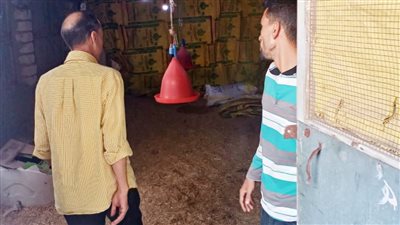 ١١ صورة ترصد تنفيذ غلق ثلاث مزارع دواجن بدكرنس في الدقهلية