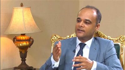 بشرة خير.. متحدث الحكومة: الفترة المقبلة ستشهد زيادة الاستثمارات الأجنبية