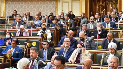 بعد واقعة الإسماعيلية.. مشروع قانون لتغليظ عقوبة حمل السلاح الأبيض