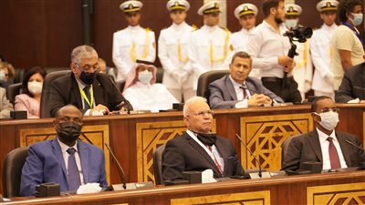 أمين المنظمة البحرية الدولية: تاريخ مصر يدعو للفخر