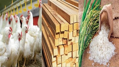 سلع نجحت في الإفلات من التضخم العالمي..الأخشاب تتراجع 20%..والحصاد يهبط بأسعار الأرز