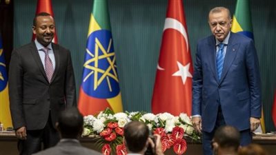 بعد هزيمته في تيجراي.. الرئيس التركي يزور آبي أحمد 