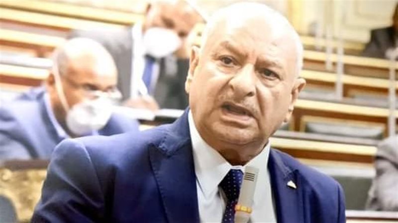 النائب محمد عبد الحكيم