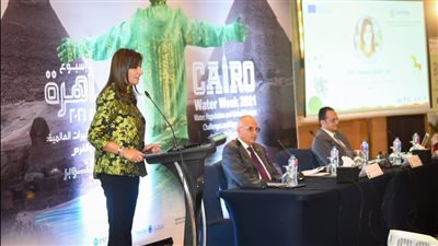 وزير الري يلتقي نبيلة مكرم على هامش أسبوع القاهرة الرابع للمياه