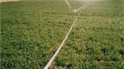 الجريدة الرسمية تنشر محضر اجتماع نقابة العاملين بالزراعة والري