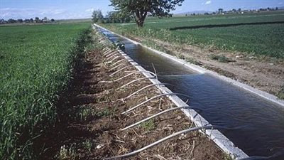 خبير دولي: فقدان 40٪ من المياه في الترع قبل الوصول للحقول