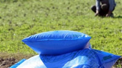 التصديري للحاصلات الزراعية يكشف تأثير ارتفاع أسعار الأسمدة على الفلاحين 