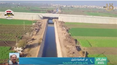 بالأرقام.. المساحة المستهدفة من مشروع تبطين الترع بالقليوبية |فيديو 