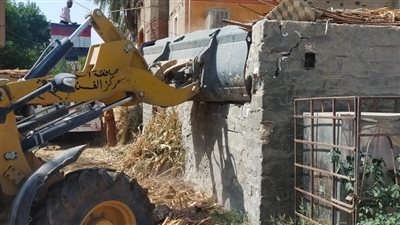 إزالة 844 حالة تعد على أراض زراعية وأملاك دولة بأسيوط 