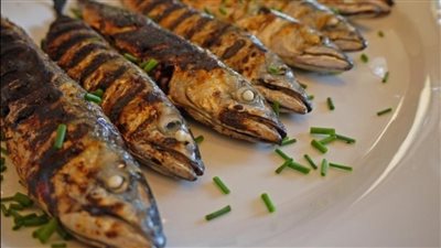 تفسير حلم أكل السمك في المنام وعلاقته بالخير الكثير والمنصب العالي 