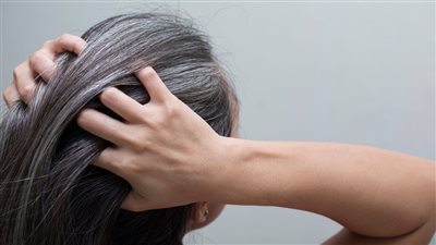 تفسير شيب الشعر في المنام.. وما علاقته بخيانة الزوج والإصابة بالأمراض؟ 