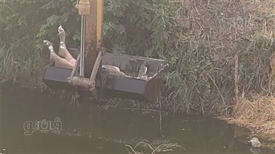 استجابة لـ فيتو.. محافظ الغربية يتابع تطهير مصرف السنطة|فيديو