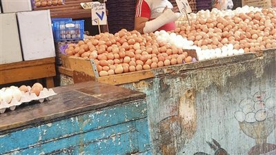 حملة مفاجئة على أسواق البيض فى الإسكندرية