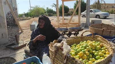 تركيب مظلة لبائعة معمرة بطور سيناء.. وتؤكد: هفضل اشتغل حتى الموت |صور