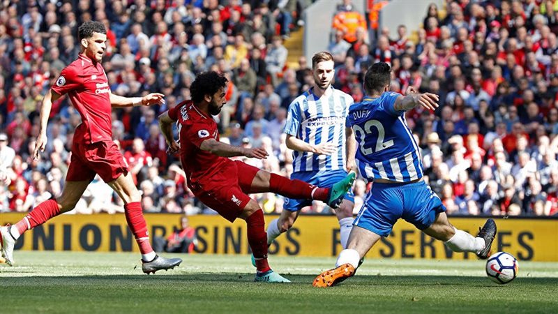 ليفربول وبرايتون