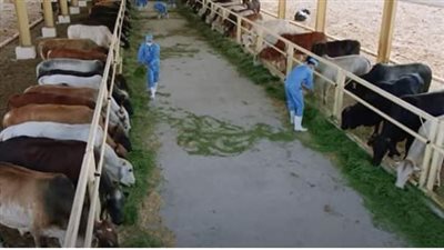 القوة الاقتصادية لوزارة الداخلية.. مصانع وورش لتحقيق الاكتفاء الذاتي | صور 