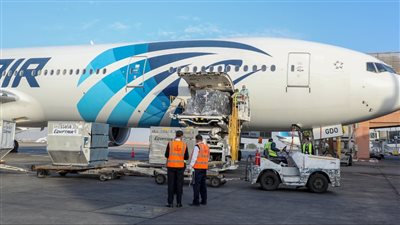 الصحة: وصول 784 ألفًا و280 جرعة 