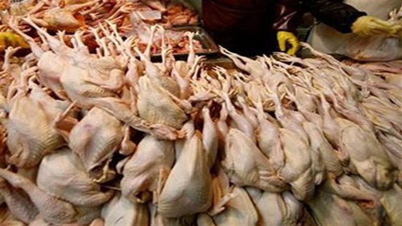 دواجن فاسدة