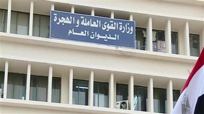 الجريدة الرسمية تنشر قرار «القوى العاملة» بشأن تحديث بيانات المنظمات النقابية العمالية