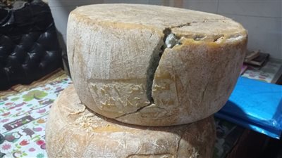 التموين: ضبط 10 أطنان جبنة ثلاجة ورومي منتهية الصلاحية بوسط البلد