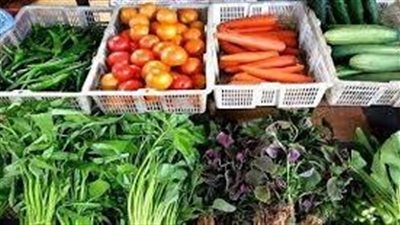 التصديرى للصناعات الغذائية يخاطب أعضاءه للتسجيل فى منصة واردات المملكة الأردنية 