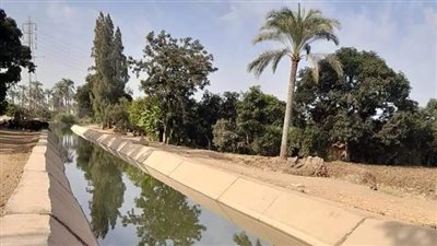 الري: تأهيل 3 آلاف كم من الترع.. وإزالة 2.60 مليون متر مربع تعديات