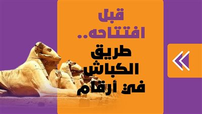 قبل افتتاحه.. طريق الكباش في أرقام | انفوجراف