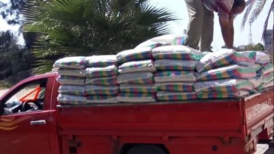 زراعة الإسماعيلية تستعد لموسم القمح بالندوات الإرشادية وتوفير التقاوي| صور 