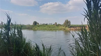 استمرار البحث عن الطالب المختفي في نيل بنها منذ 16 يوما