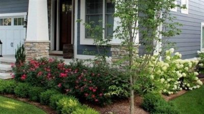 سبب فى ضيق الرزق.. احذري وجود شجرة أمام باب منزلك 