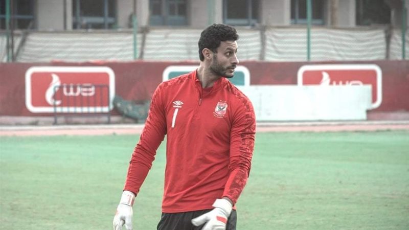 محمد الشناوي