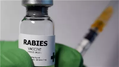 بسعر 141 جنيها، فاكسيرا توفر تطعيم السعار 