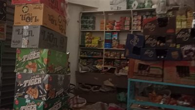 التحفظ على نصف طن سمك مجهول المصدر بالقليوبية 