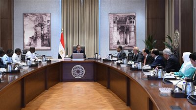 مدبولي يلتقي وزير الإدارة العامة والشئون السياسية بدولة سيراليون