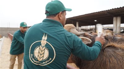 «بيت الزكاة والصدقات» يطلق حملة كبرى لصك الأضحية البلدي بقيمة 11 ألف جنيه