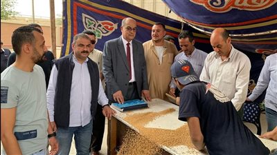 توريد 248 ألف طن قمح لصوامع الدقهلية منذ بدء موسم الحصاد