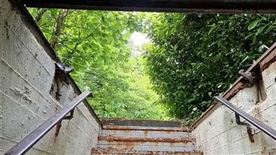 سعره مليون دولار، قصة مخبأ نووي بأحد غابات ألمانيا 