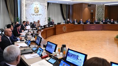 مدبولي: وصول 14 مليار دولار الدفعة الثانية من صفقة رأس الحكمة 