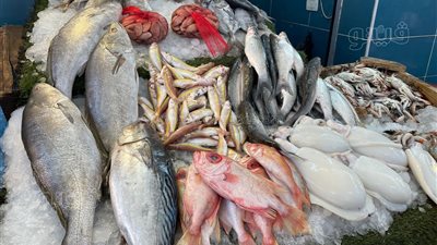 أسعار الأسماك اليوم، البلطي يتراجع جنيهين في سوق العبور