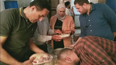 ضبط 1770 كيلو لحوم فاسدة ومصنعات بدمياط (صور)