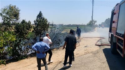 السيطرة على حريق ببركة بوص وحشائش في الإسماعيلية (صور) 