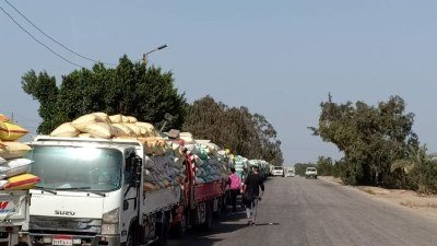 توريد 564 ألف طن قمح لصوامع وشون الشرقية